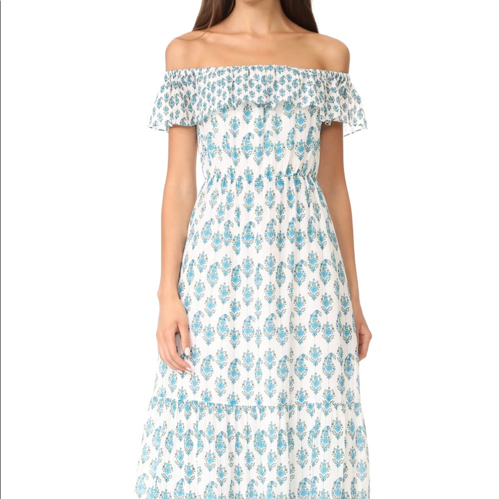 Club Monaco Maxi Dress - Floral - Worn Once